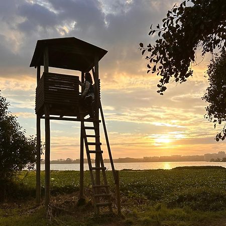Casa Do Areal, Refugio Das Rotas Pedestres Em Mira Mira  Eksteriør billede