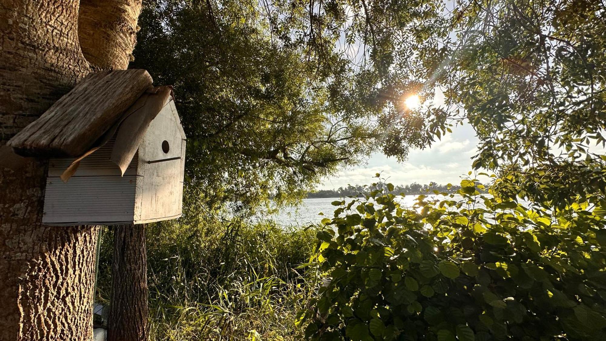 Casa Do Areal, Refugio Das Rotas Pedestres Em Mira Mira  Eksteriør billede